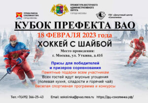 18 февраля на катке «Соколенок» пройдет турнир по хоккею с шайбой на кубок префекта ВАО